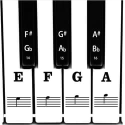 AIEX Piano Keyboard Music Note Full Set Stickers Removable & Transparent for White & Black 88/61/54/49 Keys