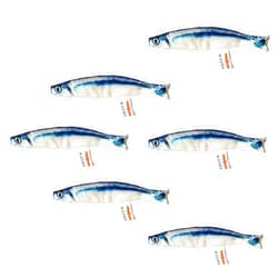 Miwoowim 6 PCS Cat Fish Toy Soft and Durable,Cat nip Toy,Cat Toy with Catnip Inside,Cat Kicker Toys for Indoor Kitten Exercise,Cat Teething Chew Toy (6 Sauries)