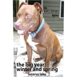 Lazarus Lake,Blaine Moore The Big Year - Winter and Spring (The Big Dog Diaries)