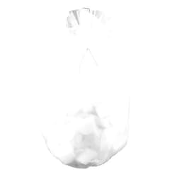 RPI Autoclave Bags, 19 x 24 Inches, 2 mil Thick, 100 per Package