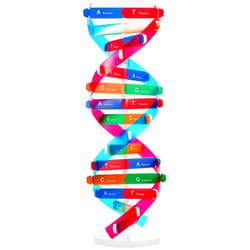 VICASKY DNA Kit Self Double Helix Structure Model 33 x 11.6cm DIY Generic Molecular Model Kit Large-Scale Biological Structure Human Genes Components Science Educational Teaching Tool