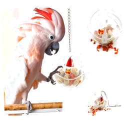 LIANCHI Parrot Creative Foraging Systems Foraging Ball- Bird Intelligence Growth Cage Acrylic Box Toys (A)