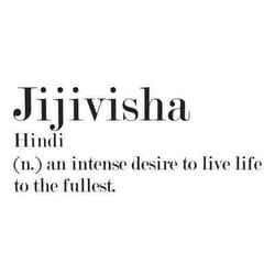 HJ Media Jijivisha Hindi Beautiful Word Definition Sticker Vinyl Decal Car Laptop Wall Window Bumper Sticker 5