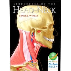 Frank J. Weaker Ph.D. Structures of the Head and Neck