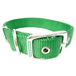 Hamilton Double Thick Nylon Deluxe Dog Collar, 1-Inch by 18-Inch, Green