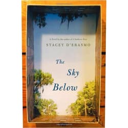 Stacey D'Erasmo The Sky Below