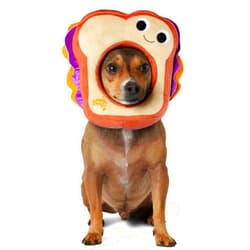 Rubies Rubie's Yummy World Costume PB&J Pet Costume Face Headpiece, As Shown, Small/Medium