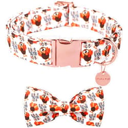 UP URARA PUP Thanksgiving Dog Collar with Bow Tie, Turkey Cotton Bowtie Collar for Puppy Girl Dog or Cat, Autumn Bow Tie Collar with Durable Metal Buckle, Turkeys Pet Collar, XL, Neck 16-26in