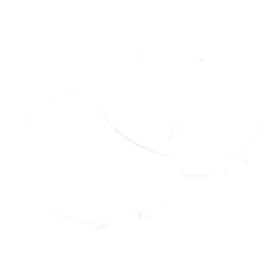 Celltreat 229684 Petri Dish, 4 Compartments, Sterile, 100 mm x 15 mm, 25 per Bag, Clear (Pack of 500)