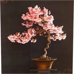 CZ Grain 20 Japanese Flowering Cherry Blossom Rare Bonsai Seeds - Pink Flowering Tree, Sakura Bonsai Seeds