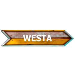 ANY AND ALL GRAPHICS WESTA Gold Arrow Shaped Weathered Rustic Painted Wood Look Magnet for use on Any Steel Surface