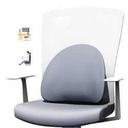 SHAKERINO Lumbar Support Pillow for Office Chair, Car, Computer, Gaming Chair, Recliner - Memory Foam Lower Back Cushion for Pain Relief & Posture Improvement with Double Adjustable Straps Gray