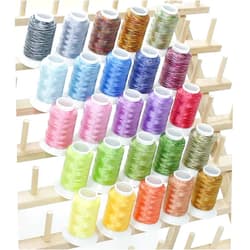 ThreadNanny 25 Cones Variegated Colors Polyester Machine Embroidery Machine Thread Compatible with Brother Babylock Janome Singer Pfaff Husqvarna Bernina Machines - 550yards