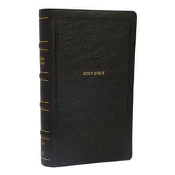 By Thomas Nelson (Author) NKJV, End-of-Verse Reference Bible, Personal Size Large Print, Leathersoft, Black, Red Letter, Comfort Print: Holy Bible, New King James Version