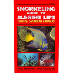 By Paul Humann (Author), Ned Deloach (Author) Snorkeling Guide to Marine Life Florida, Caribbean, Bahamas