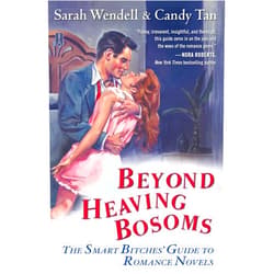 Sarah Wendell,Candy Tan Beyond Heaving Bosoms: The Smart Bitches' Guide to Romance Novels
