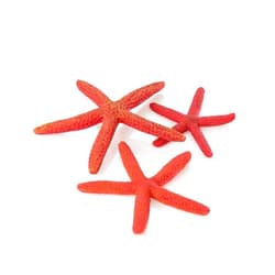 biOrb Starfish 3 Piece Set Red