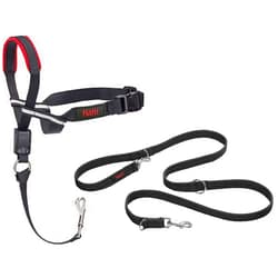 The Company of Animals Halti Optifit Headcollar Size Medium & Training Leash Size Large, Black Combination Pack - Stop Your Dog Pulling on the Leash. Adjustable with Padded Nose Band. Suitable for Medium Dogs