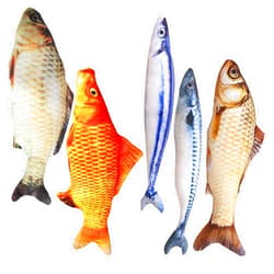 HAPY SHOP Catnip Toys 5 Pack - Simulation Fish Shape Realistic Fluffy Catnip Doll Interactive Pets Pillow Chew Bite Supplies for Cat Kitten Kitty