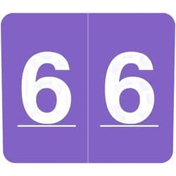 Www.filingsupplies.com V.A. Hospital/Barkley Systems Numeric Label - FNVAM Series (Rolls) - 6 - Purple