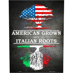 Smart Blonde American Grown Italian Roots Metal Novelty Parking Sign P-1297