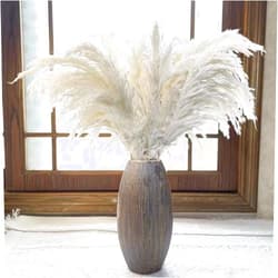 AlobyC Boho Pampas Decoration, (10 Units, 17.5 inch Large). White Pampas Grass Decor Fluffy. Small Pampas Grass, Boho Flowers Decor, Dried White Flowers. by AlobyC (White |10 pcs | 17inch|)