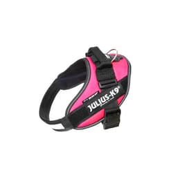 Julius-K9 IDC Powerharness, Size: M/0, Dark Pink