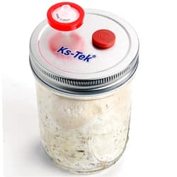 Ks-Tek 6Pcs Wide Mouth Mushroom Liquid Culture Lid(Silver) Grain Spawn Cultivation Mason Jar Lid with 0.2 Micron PTFE Syringe Filter & 20mm Self Healing Injection Ports for Mushroom Growing Mycology