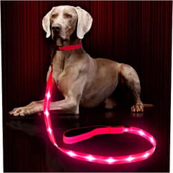 Weesiber Glowing Light Up LED Dog Leash - 4ft USB Rechargeable Flashing Nylon Leash for Small Medium Large Dogs, 3 Flash Modes (Pink)