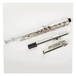 RTGHYTY General Flute Instrument For Beginners And Exams JZFL-200S