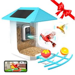 BEENOCAM 2K Smart Bird Feeder with Camera, 2.5L Ai Smart Bird House for Outdoors with Solar Powered, Live View, Instant Arrival Alerts, Capture Clear Video, 2.4/5Ghz WiFi,Camera Feeders Ideal Gift for Parents