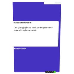 Mareike Hümmerich Der pädagogische Blick zu Beginn einer neuen Lehr-Lerneinheit (German Edition)
