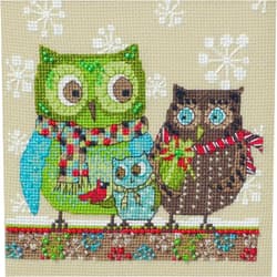 Mill Hill Winter Owls Beaded Counted Cross Stitch Kit 2024 Debbie Mumm Artful Owls Collection DM302414, 5 inches x 5 inches, Multicolor
