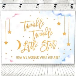 Hongma 7x5ft Twinkle Twinkle Little Star Gender Reveal Backdrop, Vinyl Blue and Pink Clouds Boy Or Girl Backdrop Photography Background He Or She Banner Photo Booth Props for Gender Reveal Party Decoration