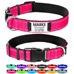 Joytale Personalized Dog Collars, Reflective Nylon Dog Collar with Engraved Name Plate, Customized for Small Dogs, Hotpink, S