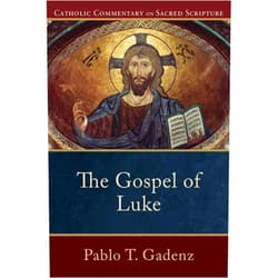 Pablo T. Gadenz,Peter S. Williamson,Mary Healy The Gospel of Luke: (A Catholic Bible Commentary on the New Testament by Trusted Catholic Biblical Scholars - CCSS) (Catholic Commentary on Sacred Scripture)