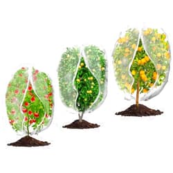 Waybas 3Pcs Plant Covers from Insects, 3Size Bird Netting Barrier for Blueberry Bushes with Drawstring Zipper Mesh Garden Netting Plants Bags for Protect Fruits Tree Tomato Vegetable 2.6×3.3, 3.3×5, 4×5Ft