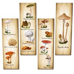 Yookeer 4 Pcs Vintage Mushroom Wall Decor Mushrooms Art Wooden Sign Rustic Mushroom Kitchen Decor Fungus Aesthetic Poster for Bedroom Dining Room Living Room Office(11 x 3.5 Inch)