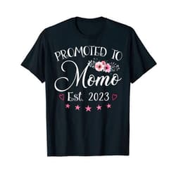 Promoted To Funny Family Gift Co. Promoted To Momo Pregnancy Mothers Day Soon to be Mom 2023 T-Shirt