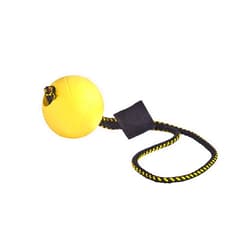 DINGO GEAR WWW.DINGOGEAR.COM 1977 Magnet Set for Dog Training: Magnet and Magnetic Handle Rubber Ball