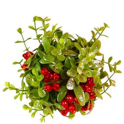 Ornativity Mistletoe Glitter Hanging Ornament - Christmas Mistletoe Kissing Ball with Red Berries Holiday Kiss Xmas Decoration for Doorway Arch Light Fixture 5