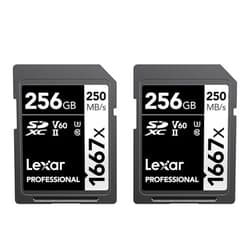 Lexar 256GB (2-Pack) Professional 1667x SDXC Memory Cards, UHS-II, C10, U3, V60, Full-HD & 4K Video, Up To 250MB/s Read, for Professional Photographer, Videographer, Enthusiast (LSD1667256G-B2NNU)