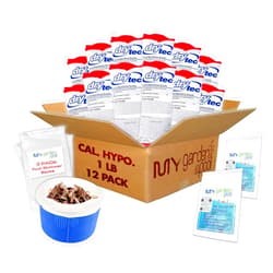 My Garden Pool Drytec Calcium Hypochlorite Pool Shock 1 lb. 68% Bag, 12 Pack, Complete Pool Care Kit with My Garden Pool Skimmer Sock and 7-in-1 Test Strips, 40 ct. – Powerful Chlorine Shock for Clear Swimming Water