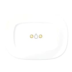 Aeotec SmartThings SmartThings Water Leak Sensor, ZigBee, Battery Powered, Smart Home Hub Compatible