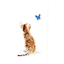 BKR Graphics Bengal Cat & Butterfly Bumper Sticker Vinyl Decal 5