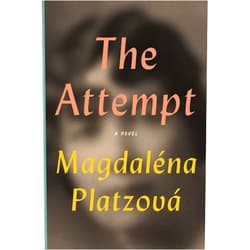 Magdaléna Platzová,Alex Zucker The Attempt