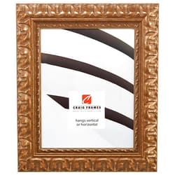 Craig Frames 16x20 Picture Frame, 2