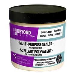 Beyond Paint BP37 Multi Purpose Sealer