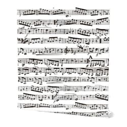 Spoonflower Peel & Stick Wallpaper Swatch - Black White Music Notes Large Musical Musician Piano Custom Removable Wallpaper