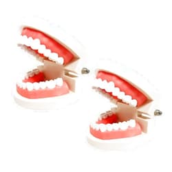 YOUYA DENTAL 2 Pack Standard Teeth Models, YOUYA DENTAL Kids Dental Teaching Study Supplies Adult Standard Typodont Demonstration Teeth Model(Without Wisdom Teeth)